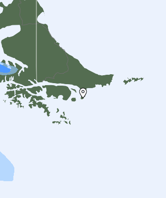 Валежи