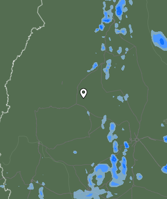 Валежи