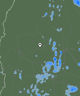 Валежи