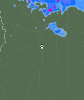 Валежи