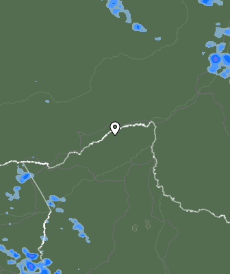 Валежи