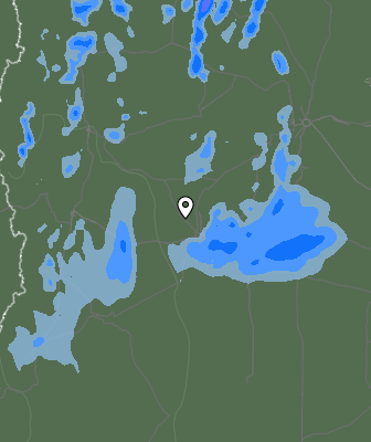 Валежи