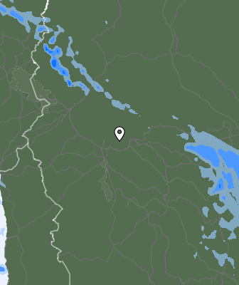 Niederschlagsprognose
