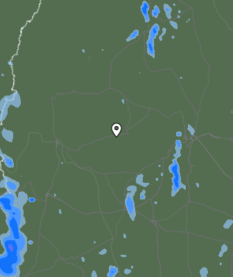 Валежи