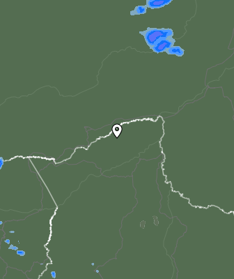 Валежи