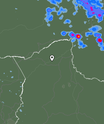 Валежи