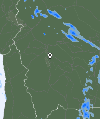 Валежи