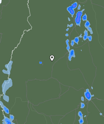 Валежи