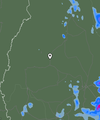 Валежи