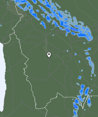 Валежи