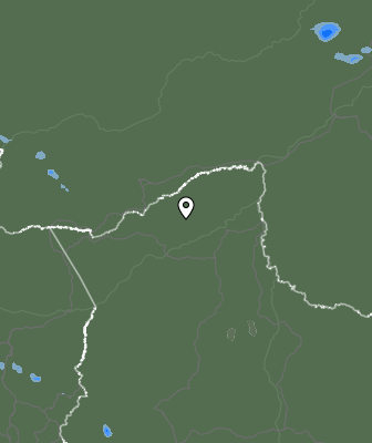Валежи