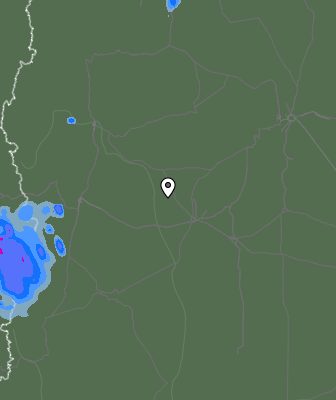 Валежи