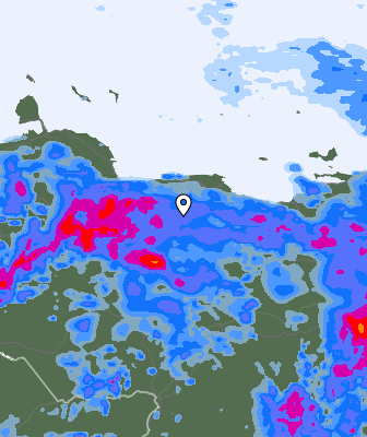 Niederschlagsprognose