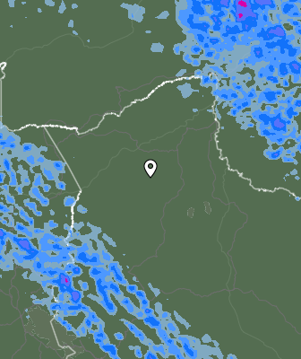 Валежи