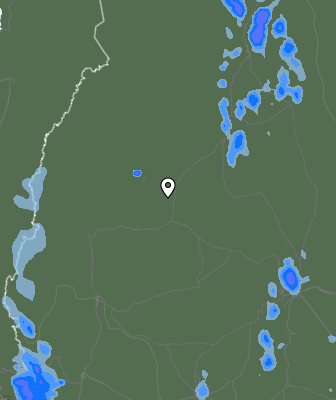 Валежи