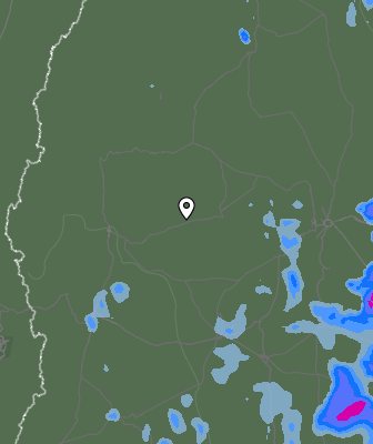 Валежи