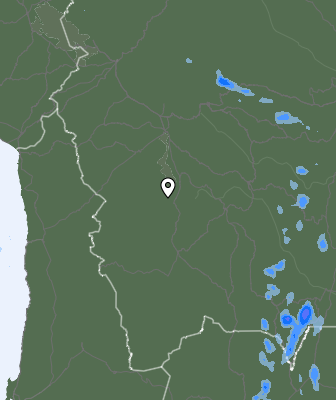 Валежи