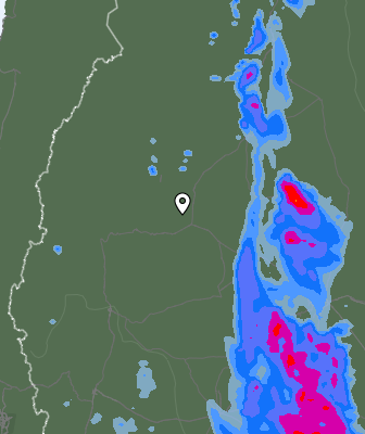 Валежи
