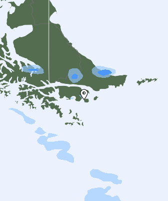Валежи