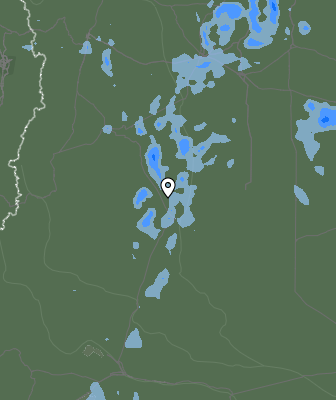 Валежи