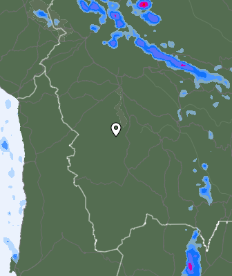 Валежи