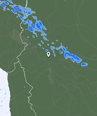 Валежи