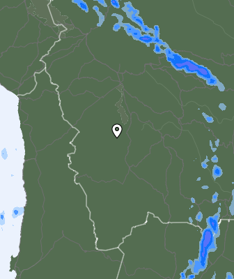 Валежи