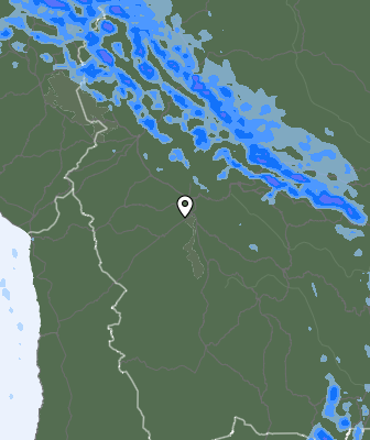 Валежи