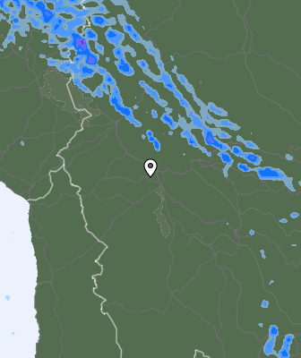 Валежи