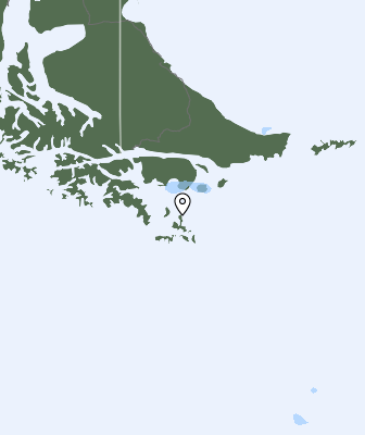 Валежи