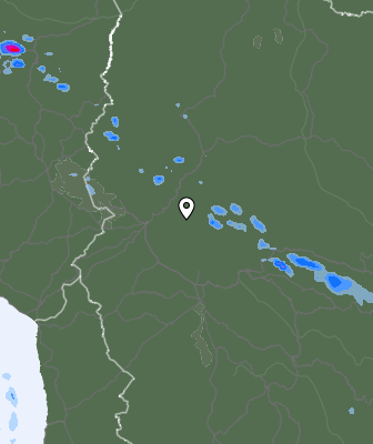 Валежи