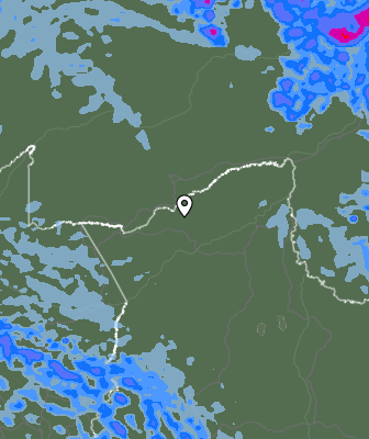 Валежи