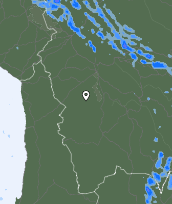 Валежи