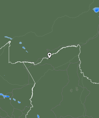 Валежи