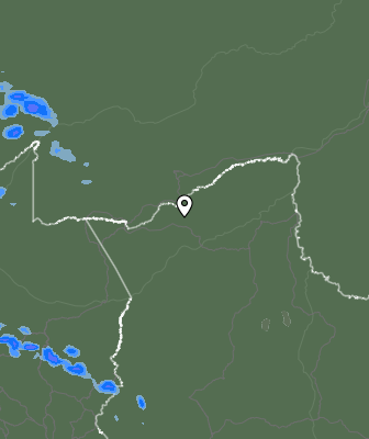 Валежи