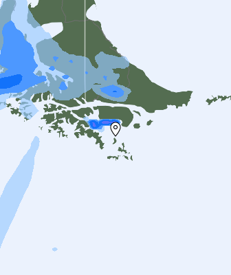 Валежи