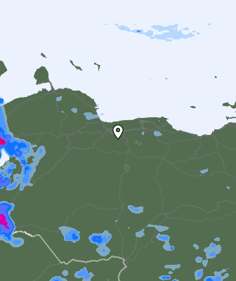 Валежи