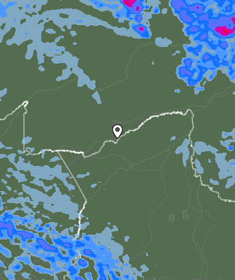 Валежи