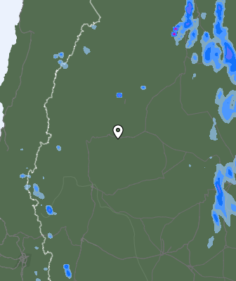 Валежи