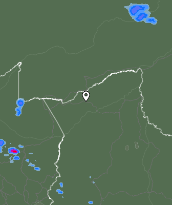 Валежи