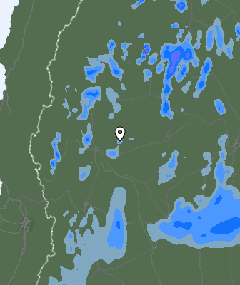 Валежи