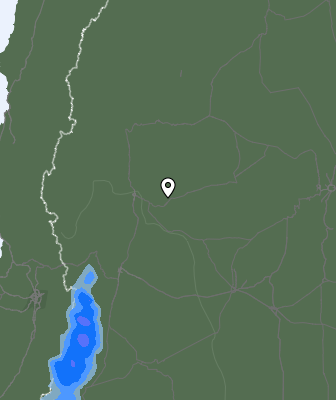 Валежи