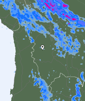 Precipitazioni
