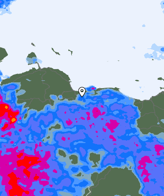Валежи