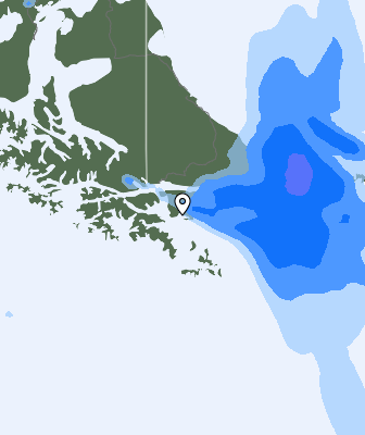 Валежи