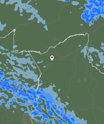 Валежи