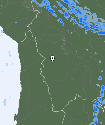 Валежи