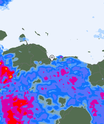Валежи
