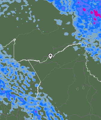 Валежи
