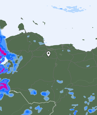 Валежи